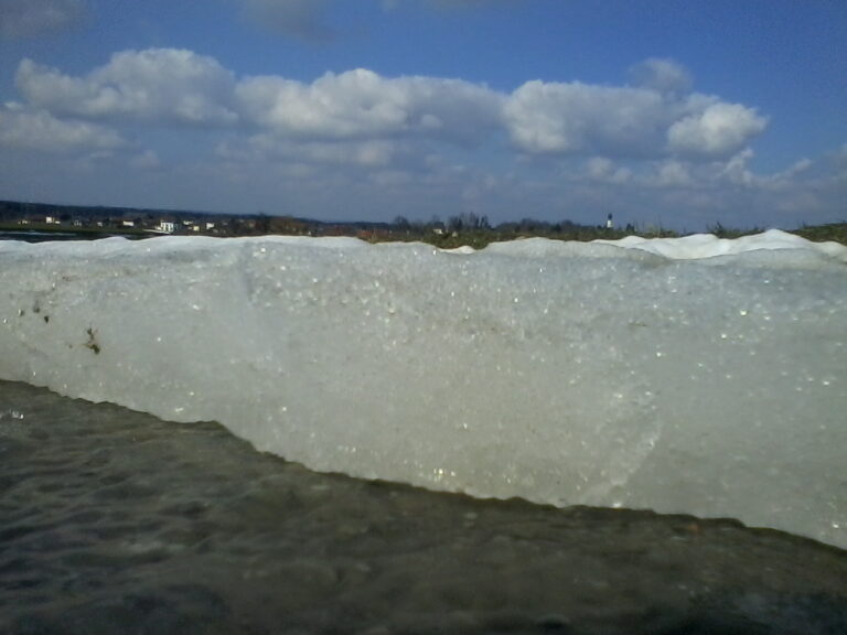 Naturwesen