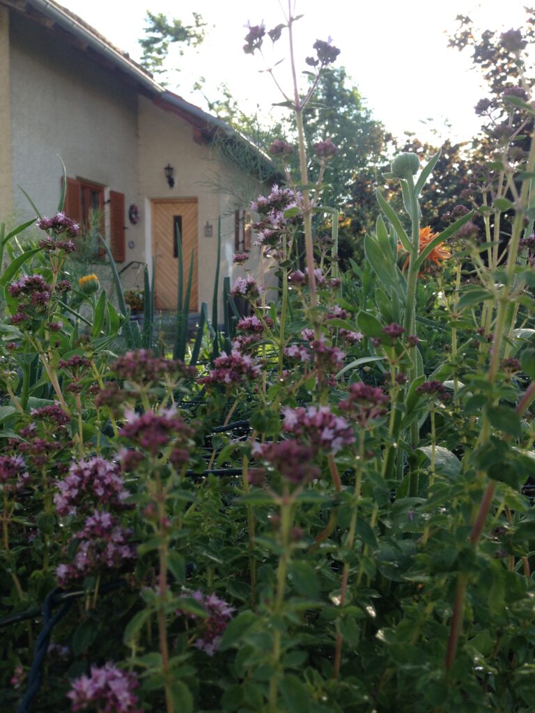 Naturreiche