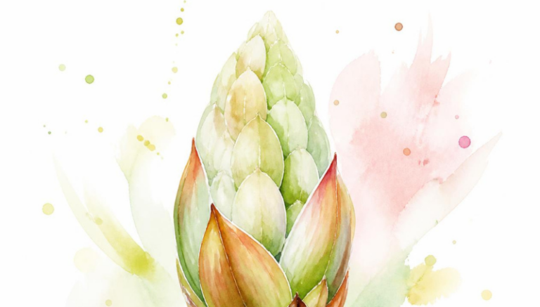 Chestnut Bud